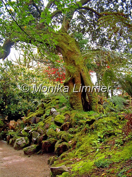 03_Baum im lost garden_87_.jpg